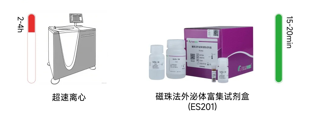 TIANGEN磁珠法外泌体富集试剂盒优势总览图