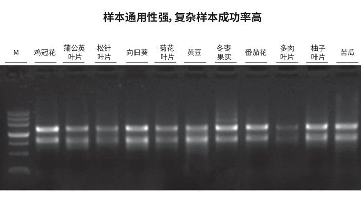复杂植物样本RNA提取（DP672）