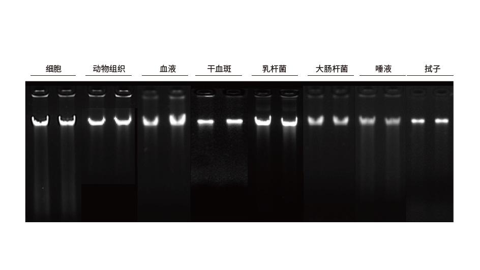 DP605 实验结果