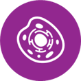 cell icon