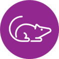 组织 icon