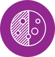 质粒icon